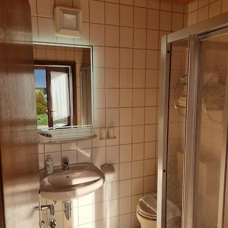 Inn Auerhahn - - Without Breakfast Eisenbach (Breisgau-Hochschwarzwald)